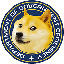 Department of Government Efficiency DOGE