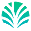 Palm Economy